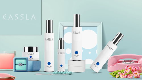 济南品牌视觉设计 化妆品包装、Logo、VI、画册与手提袋的全案策划